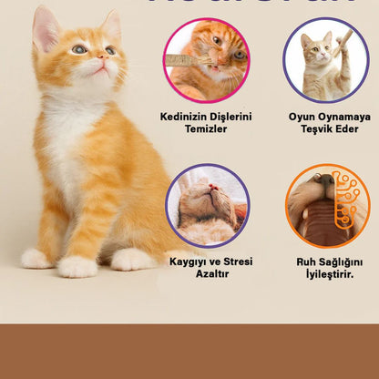 Foldycat™ Doğal Çiğneme Çubuğu