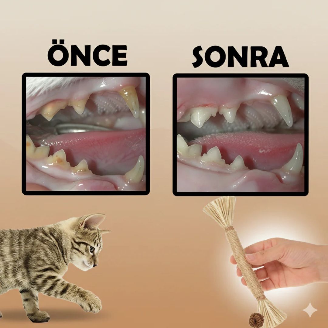 Foldycat™ Doğal Çiğneme Çubuğu